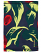 Hibiscus Pink Floral