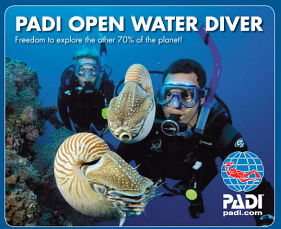 PADI Open Water Scuba Course - Full Course