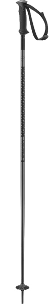 Salomon Polar Ski Poles Black